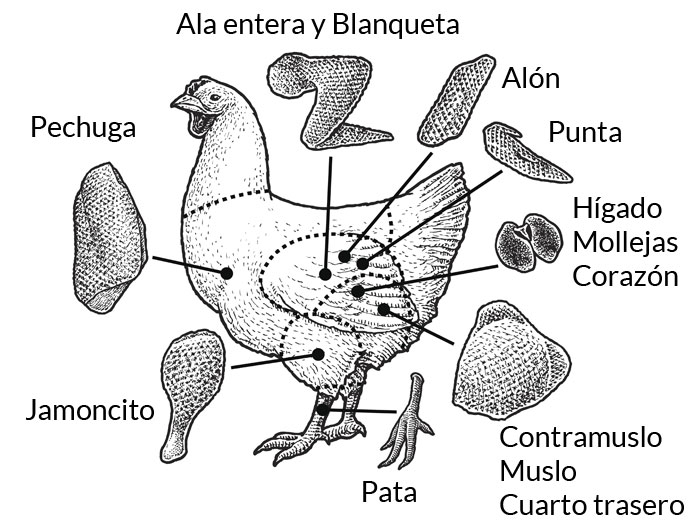 Partes-pollo